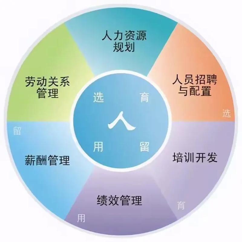 小公司如何做人力资源管理?1,重视人力资源,小公司hr主抓